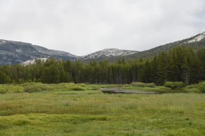 DSC_4486 (Large).JPG